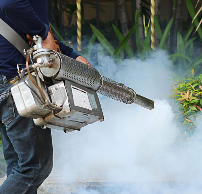 Mosquito Management service In Bangalore