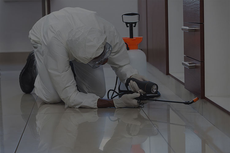 acrylic-sheet-for-kitchen-cabinets-price